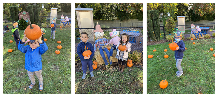 pumpkin picking event